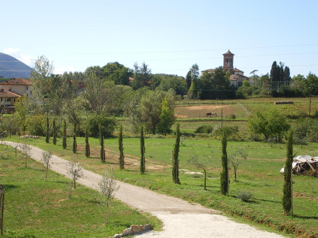 Agriturismo Ai Linchi ลุคคา ภายนอก รูปภาพ
